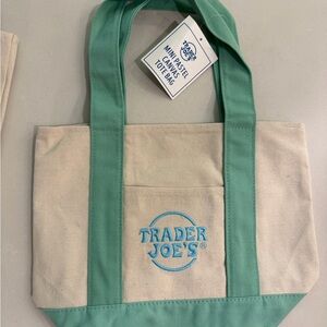 Mint green and Cream Canvas MINI Tote Bag